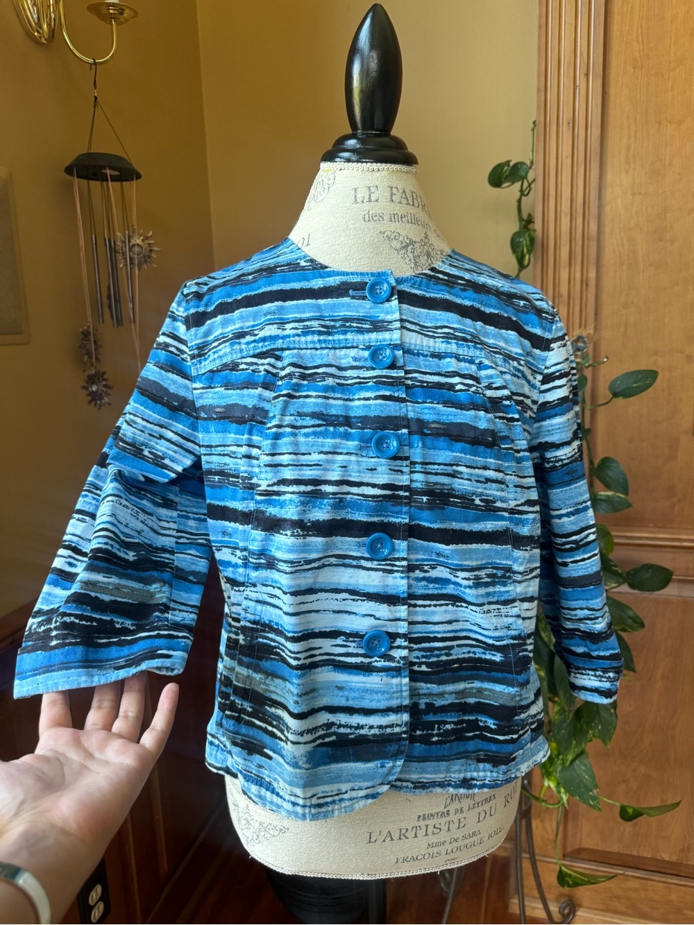 Cold water Creek Blue Striped Button-Front Jacket